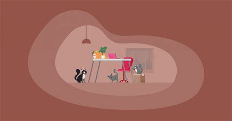 9 Best Charities for Domestic Cats (Complete 2024 List).